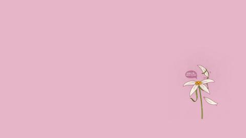 Banner 1
